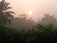 Brouillard matinal: cliquer pour aggrandir