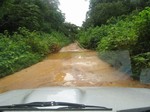 Road Mouanko to Yoyo locality: cliquer pour aggrandir